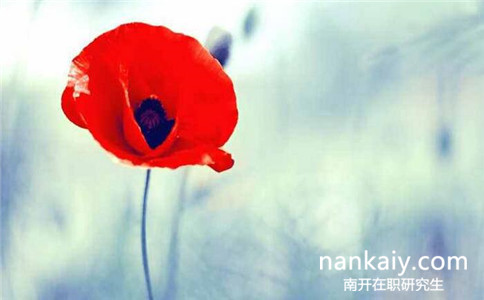 南開大學(xué)同等學(xué)力申碩